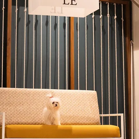 Elle & *
